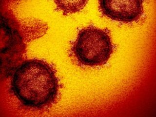 Coronavirus: El momento de una Europa social