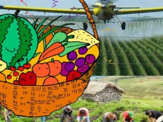 Crisis agrícola y alimentaria: una alternativa es posible