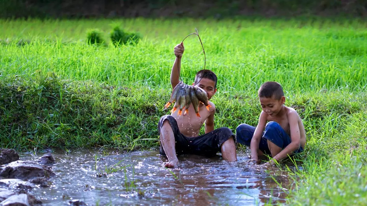 Niños pescando en un arrozal en Tailandia